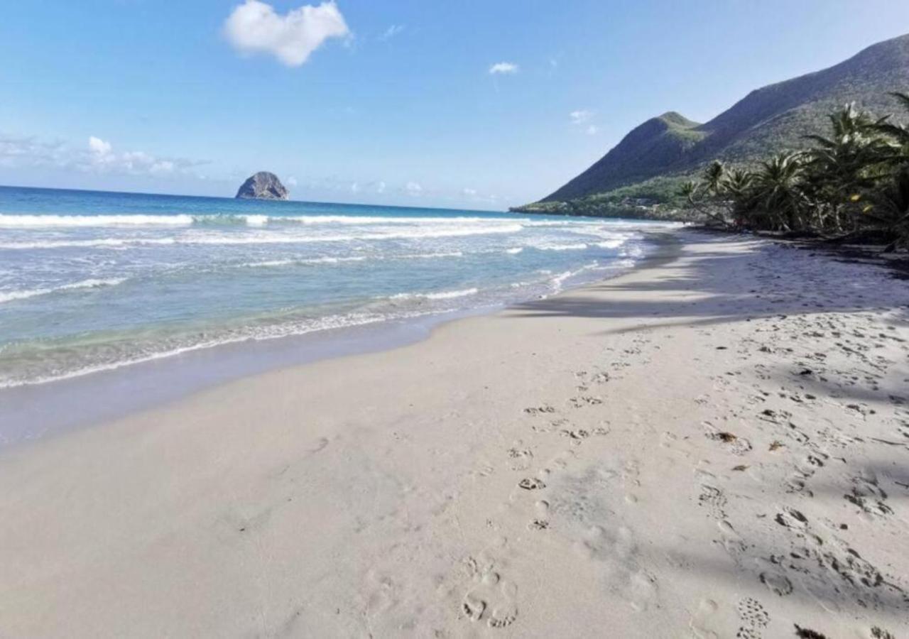 Villa Cocotier A 50 Metres De La Plage เลอ ดีอามงต์ ภายนอก รูปภาพ