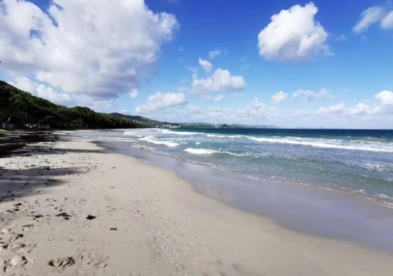 Villa Cocotier A 50 Metres De La Plage เลอ ดีอามงต์ ภายนอก รูปภาพ